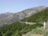 En descendant vers St-Florent